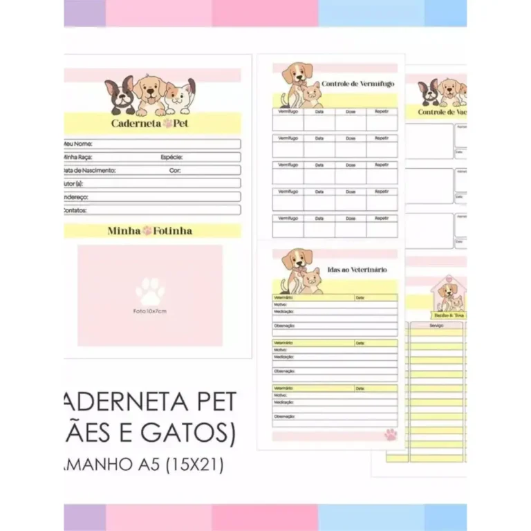 AnyConv.com__6 (1)