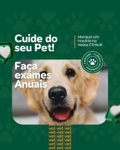 AnyConv.com__1 (7)