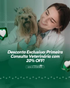 AnyConv.com__17 (1)