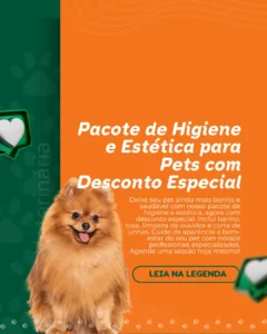 AnyConv.com__20