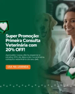 AnyConv.com__27 (1)
