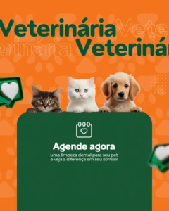AnyConv.com__6 (1)