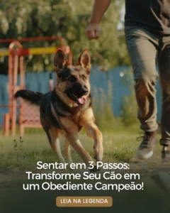 AnyConv.com__1 (4)