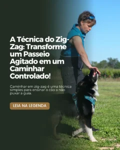 AnyConv.com__104