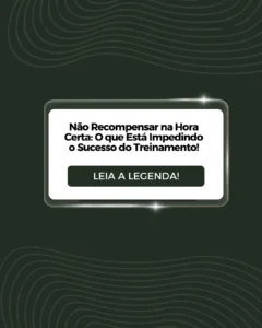 AnyConv.com__27 (1)