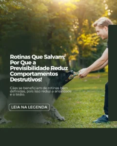 AnyConv.com__50