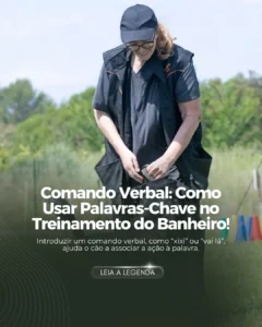 AnyConv.com__58 (1)